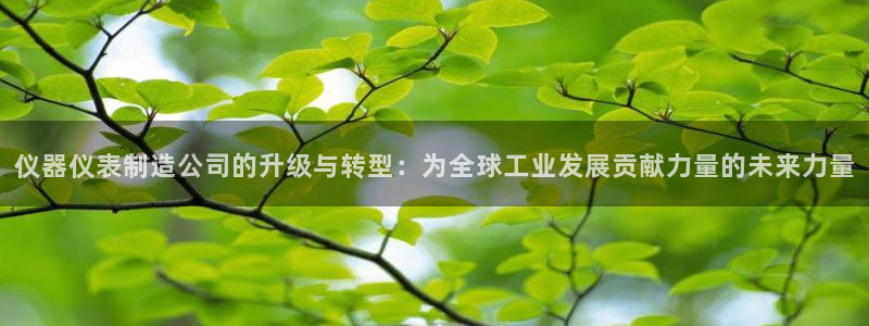 意昂3集团官网首页：仪器仪表制造公司的升级与转型：为全球工业