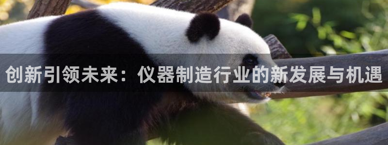 意昂体育3是干嘛的公司：创新引领未来：仪器制造行业的新发展与