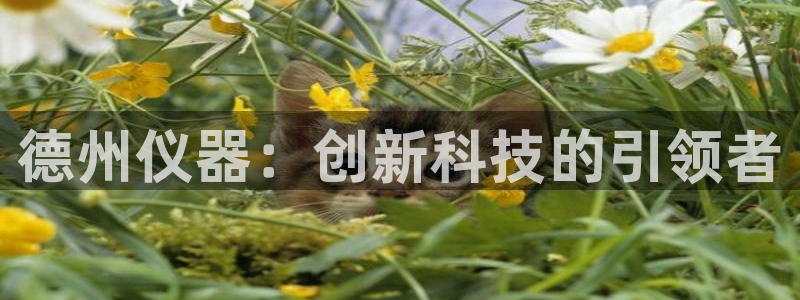 意昂体育3平台注册流程图：德州仪器：创新科技的引领者