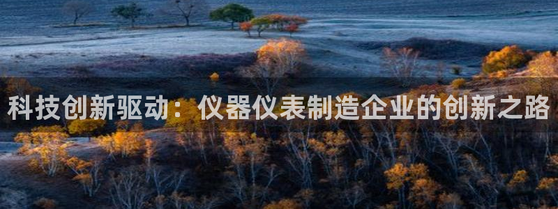 意昂3五金厂：科技创新驱动：仪器仪表制造企业的创新之路