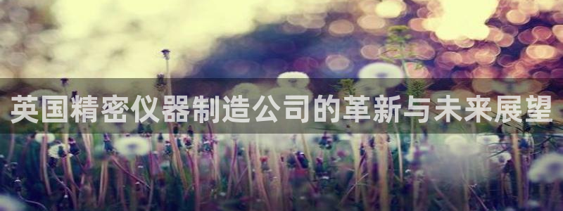 意昂体育3招商电话是多少：英国精密仪器制造公司的革新与未来展