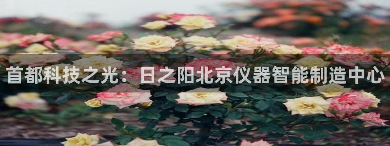 意昂3神州：首都科技之光：日之阳北京仪器智能制造中心