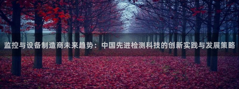 意昂3娱乐是那个系列的台子：监控与设备制造商未来趋势：中国先