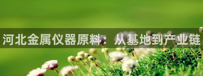 意昂体育3招商电话地址查询：河北金属仪器原料：从基地到产业链