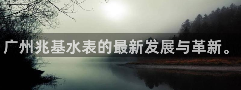 意昂体育3平台假的吗是真的吗吗：广州兆基水表的最新发展与革新