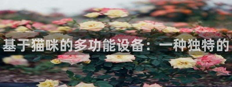 意昂体育3招商电话地址是多少：基于猫咪的多功能设备：一种独特