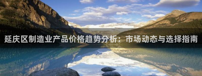 意昂3五金厂：延庆区制造业产品价格趋势分析：市场动态与选择指