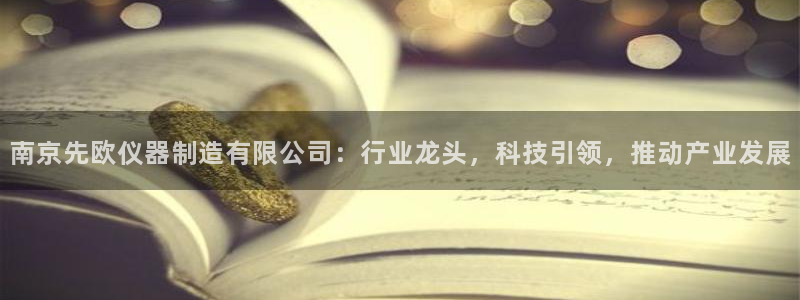 意昂3娱乐网站：南京先欧仪器制造有限公司：行业龙头，科技引领