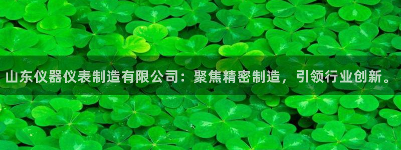 意昂3集团简介：山东仪器仪表制造有限公司：聚焦精密制造，引领