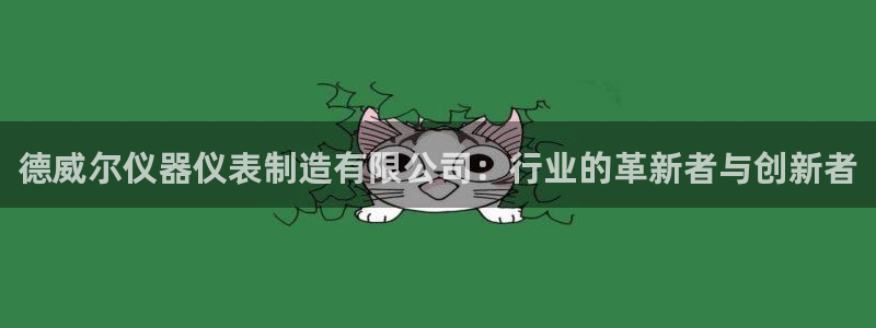 意昂体育3招商电话：德威尔仪器仪表制造有限公司：行业的革新者