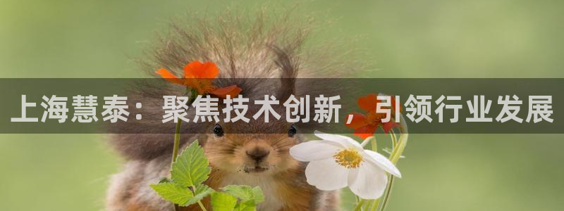 意昂体育3平台注册要钱吗：上海慧泰：聚焦技术创新，引领行业发