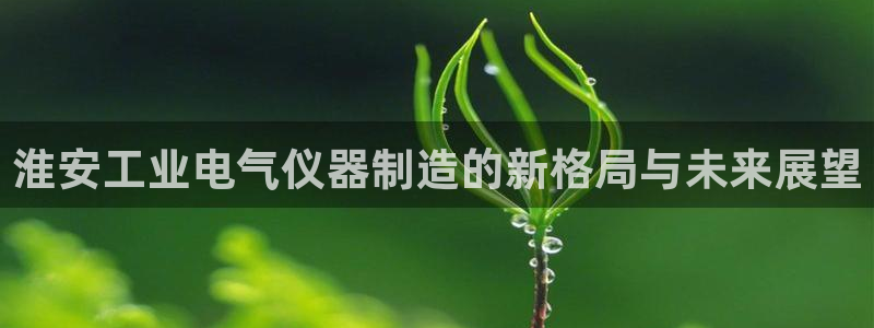 海南意昂体育3发展怎么样：淮安工业电气仪器制造的新格局与未来