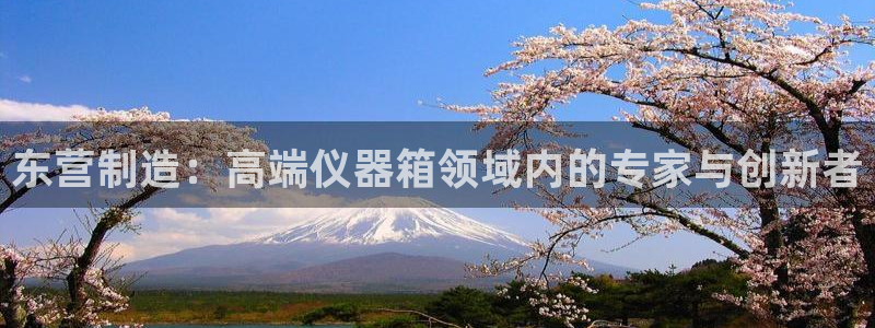 意昂体育3招商电话是多少号码：东营制造：高端仪器箱领域内的专