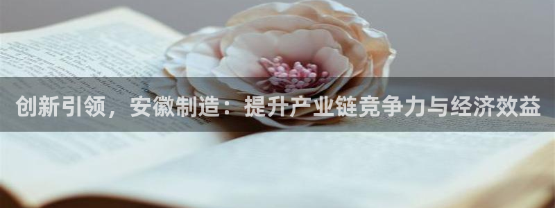 意昂3五金厂：创新引领，安徽制造：提升产业链竞争力与经济效益