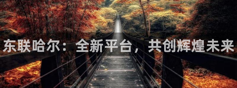 意昂3集团E.ON：东联哈尔：全新平台，共创辉煌未来