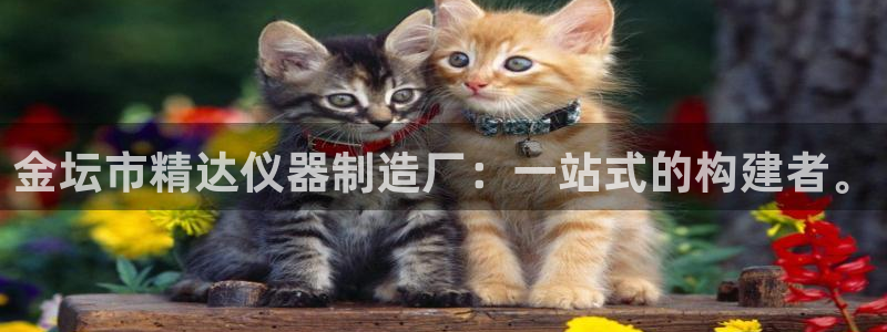 意昂体育3娱乐：金坛市精达仪器制造厂：一站式的构建者。