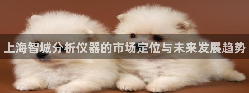 意昂体育3招商电话号码：上海智城分析仪器的市场定位与未来发展