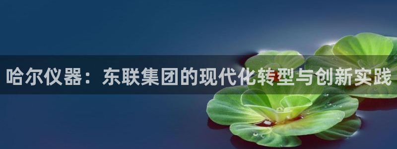 意昂体育3招商电话号码查询是多少：哈尔仪器：东联集团的现代化