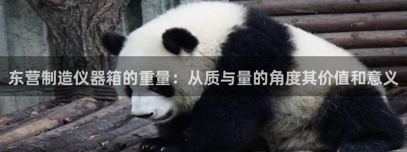 意昂体育3平台APP：东营制造仪器箱的重量：从质与量的角度其