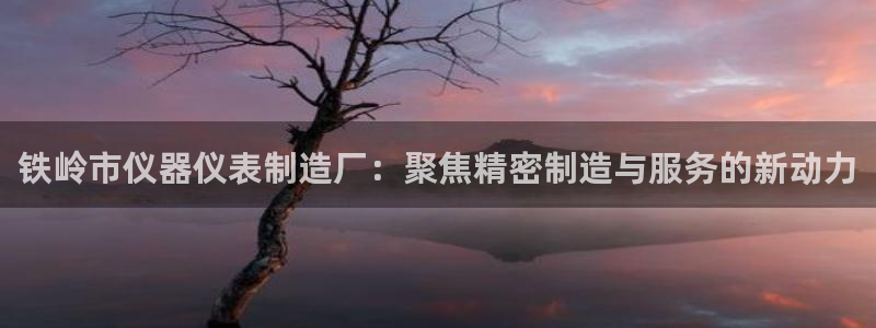 意昂3娱乐代理怎么样：铁岭市仪器仪表制造厂：聚焦精密制造与服