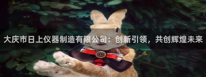 意昂3娱乐：大庆市日上仪器制造有限公司：创新引领，共创辉煌未