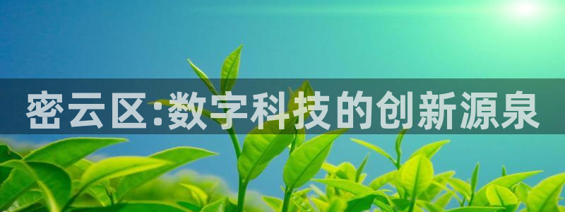 意昂体育3招商电话地址：密云区:数字科技的创新源泉