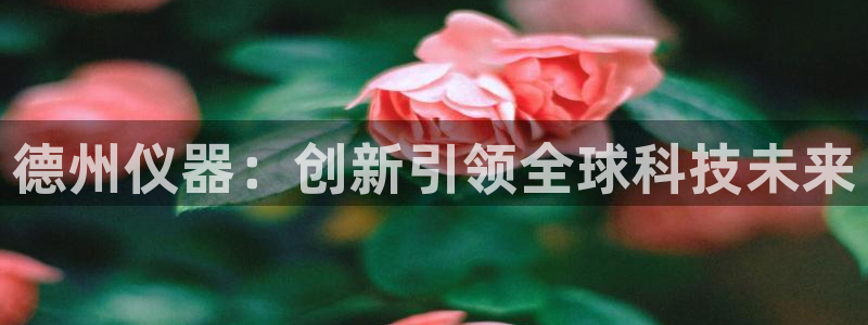 意昂体育3招商电话号码：德州仪器：创新引领全球科技未来