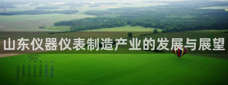 意昂3五金厂：山东仪器仪表制造产业的发展与展望