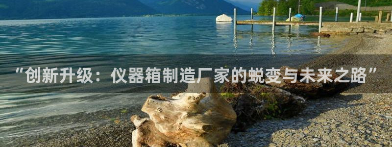 意昂3科技：“创新升级：仪器箱制造厂家的蜕变与未来之路”