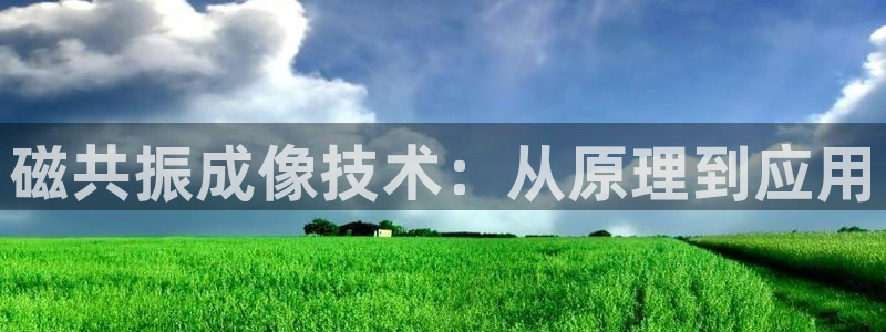 意昂3娱乐是那个系列的台子：磁共振成像技术：从原理到应用