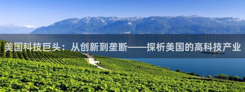 意昂体育3招商电话地址：美国科技巨头：从创新到垄断——探析美