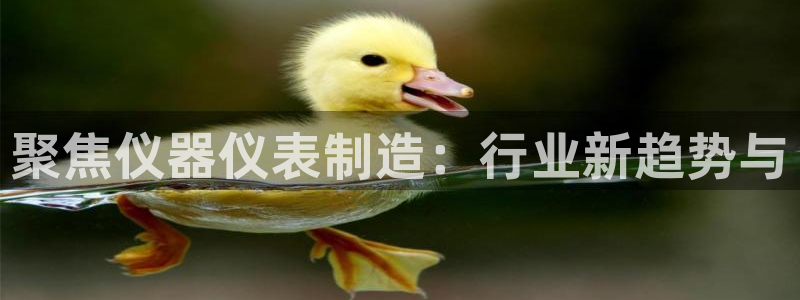 意昂3娱乐首页网站大全：聚焦仪器仪表制造：行业新趋势与