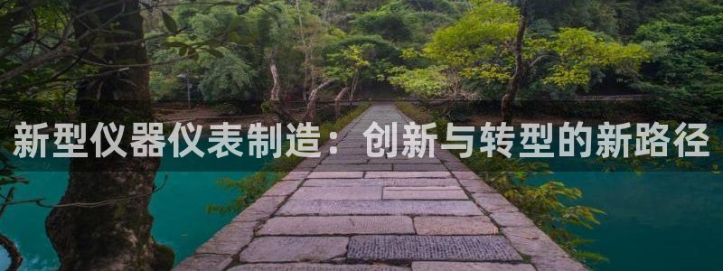 意昂3五金厂：新型仪器仪表制造：创新与转型的新路径