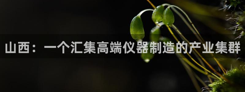 意昂平台体育：山西：一个汇集高端仪器制造的产业集群