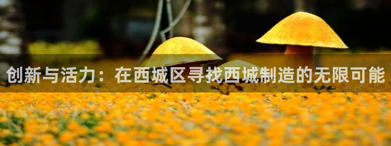 意昂体育3招商电话号码是多少：创新与活力：在西城区寻找西城制