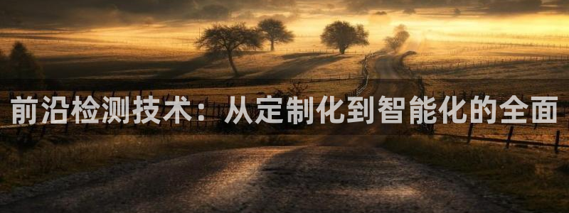 意昂3集团官网首页网址：前沿检测技术：从定制化到智能化的全面