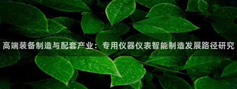 意昂体育3招商电话：高端装备制造与配套产业：专用仪器仪表智能