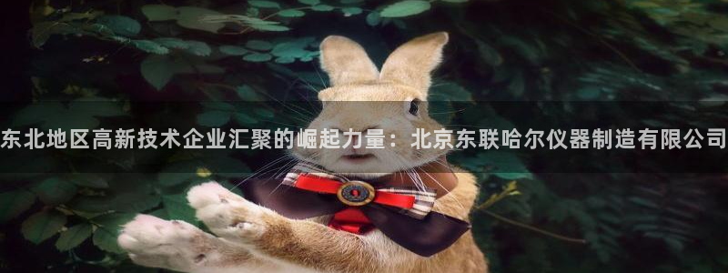 意昂体育3是干嘛的公司：东北地区高新技术企业汇聚的崛起力量：