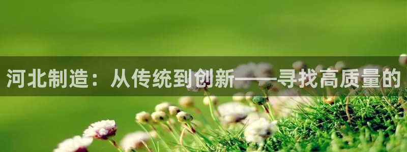 意昂3新能源：河北制造：从传统到创新——寻找高质量的