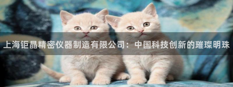 意昂体育3平台注册要钱吗是真的吗：上海钜晶精密仪器制造有限公