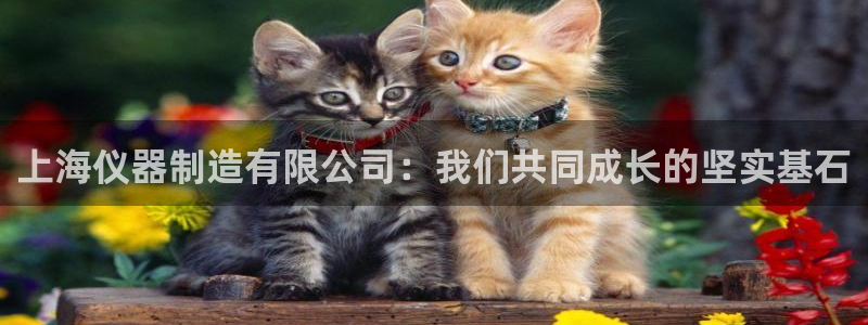 意昂体育3平台是正规平台吗安全吗：上海仪器制造有限公司：我们