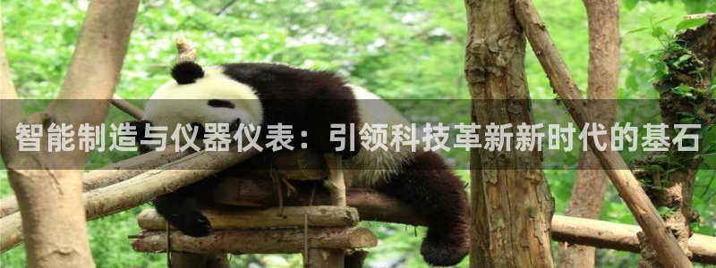 意昂体育3是干嘛的公司：智能制造与仪器仪表：引领科技革新新时