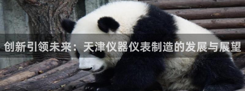 意昂3娱乐平台：创新引领未来：天津仪器仪表制造的发展与展望