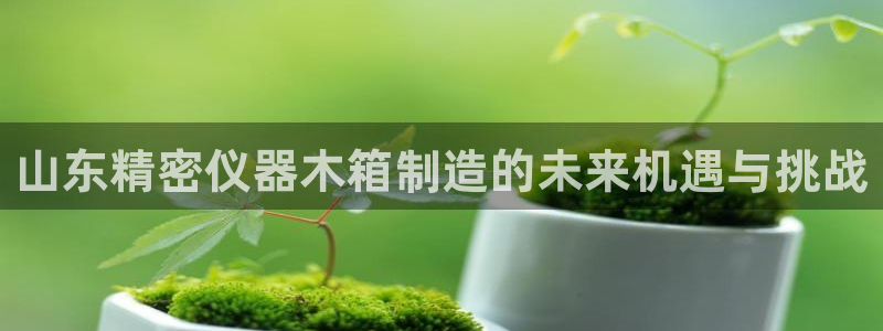 意昂3娱乐首页网站大全