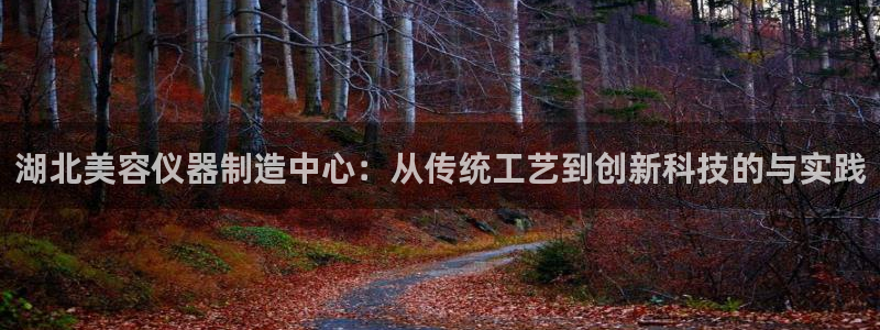 注册意昂3：湖北美容仪器制造中心：从传统工艺到创新科技的与实