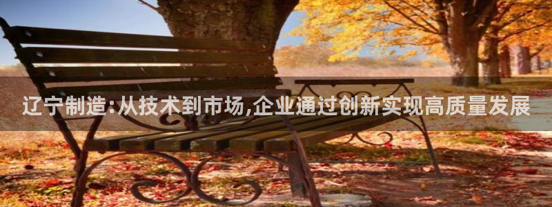 意昂体育3平台是正规平台吗：辽宁制造:从技术到市场,企业通过