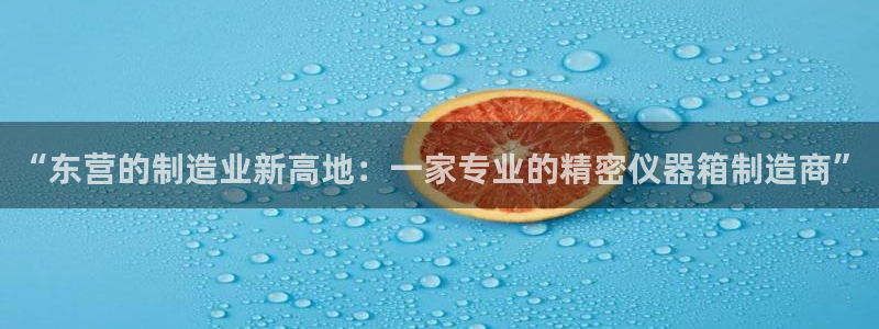 意昂体育3平台假的吗是真的吗吗：“东营的制造业新高地：一家专