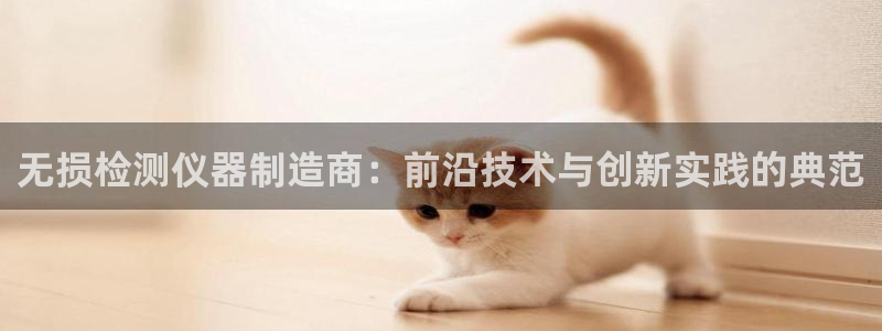 意昂体育3招商电话号码是多少：无损检测仪器制造商：前沿技术与