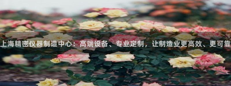 意昂体育3平台注册流程图：上海精密仪器制造中心：高端设备、专